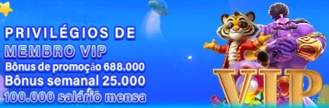 Programa VIP 62q
